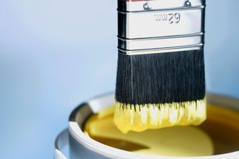 Make Sex Art, Not War: New Kit Encourages Couples to “Get Artistic” In The Bedroom