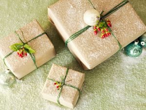 Christmas Is Coming But The Goose Is Looking Broke!