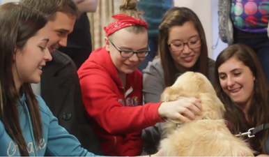 Remember The Puppy Study-Break Room? This Clip Shows The Healing Power Of A Good Cuddle