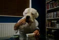 Bizzle The Dog Gets Dunking: A Dog, A Pack Of Dairylea Dunkers And An Owner With A Sense Of Humour
