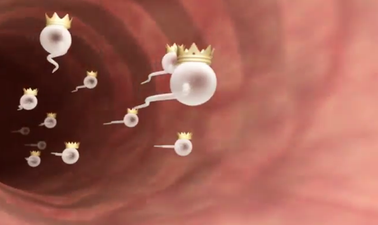 Royal Sperm With Crowns, We’re Not Joking You: This Is One Kate And Will Pregnancy News Report You Won’t Forget