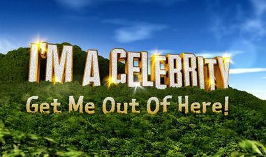 From the Dance Floor to the Jungle: the Reality TV Heroes of 2012