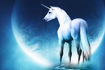 Wait… Unicorns Actually Do Exist?! WHAT?!
