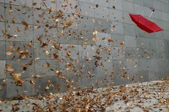 Gone With the Wind (Literally): Met Eireann Warns We’re Set for a Wild Weekend!