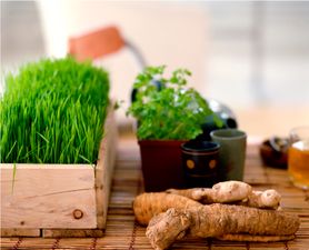 Do You Know Your Vegan From Your Macrobiotoc?