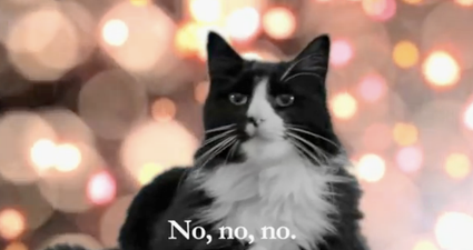 The Cat Who Couldn’t Stand Christmas… Henri: “The Worst Noël”