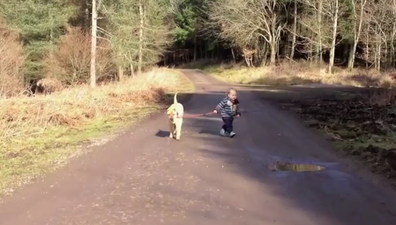 A Dog Is A Toddler’s Best Friend… And They Know The Importance Of A Puddle