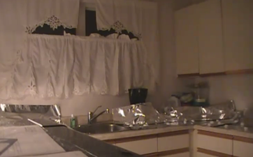 VIDEO: A Simple Solution To An Everyday Problem: How To Keep The Cats Off The Counter