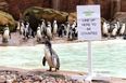 Roll Up, Roll Up – London Zoo Rounds Up Residents For Its Annual Census