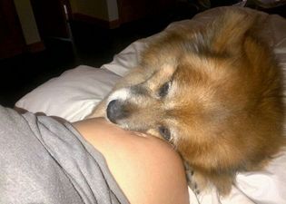 P-Awww: Star Shares Adorable Baby Bump Snap on Twitter