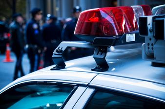 Police Receive Reports of Domestic Incident at Chris Brown’s Home