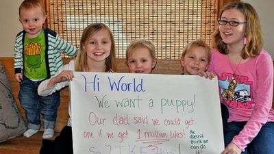 The Power Of One Million Likes: Sisters Prove Dad Wrong With Viral Puppy Campaign