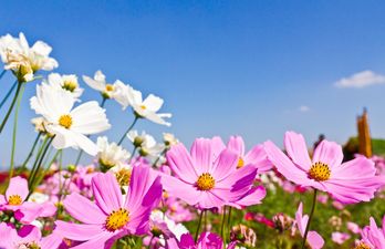 Longer Days, More Sunshine & Easter Eggs: Reasons Why We Love Spring