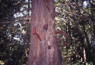 Bicycle Theft Case From 50 Years Ago Solved!