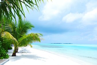 Over Before It Began? Trouble in Paradise for New Couple