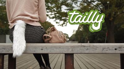 Feline Fashion – This Is Possibly The Weirdest Accessory We Have Ever Seen!