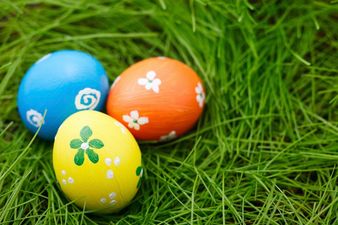 A Cracking Day Out: Have You Heard About The Big Dublin Easter Egg Hunt?