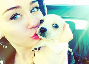 This Week’s Top 5 Celebland Tweets: A New Puppy, Sex Rumours And Mum’s Are Best