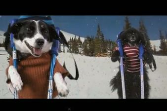 The Best Version of a One Direction Song That We’ve Ever Heard