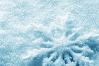 Looks Like the Irish Stars Are Enjoying the Snow… Well, For the Most Part They Are!