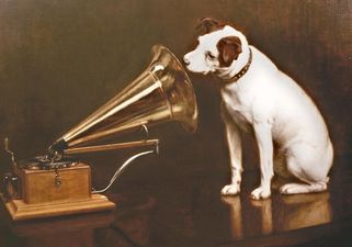 Top Dog The Latest Victim Of The Recession, As HMV Could Close Doors