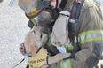 “What’s With Your Mask?!” Picture of Puppy Meeting A Fireman Goes Viral