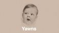 A Personal Challenge: Try And Watch This Video Without Yawning…