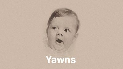 A Personal Challenge: Try And Watch This Video Without Yawning…