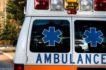 Talk About Man’s Best Friend: Dog Saves Homeless Owner