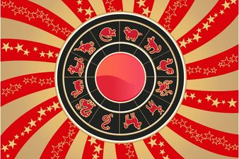 Snake or Monkey: What Are You? Chinese New Year Animals & Their Meanings