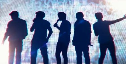 Film Trailer Shows One Direction Like to Be Topless