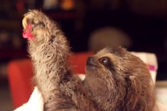 “I Got You A Present!” The Cutest Viral Video That You’ll Ever See