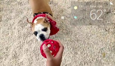 “Okay Glass, Record A Video”: Google’s Slick New Ad For Its Reality-Style Glasses