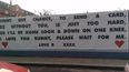 I Love You! Irish Emigrant Declares Love With This Cute Sign For “Bunny”