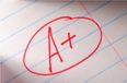 Is This Man The Soundest Dad Ever? Father Outsources Daughter’s Homework To His Employees