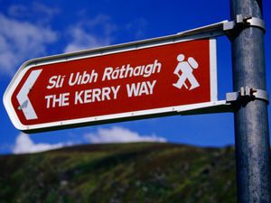 Kerry Man Gets a Fine for Not Displaying His Tax… And This is His Reaction