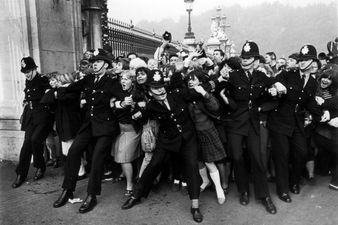 Eating Grass, Collecting Tonsils… – And you thought Bieber’s fans were crazy?!