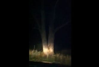 This Has to Be the Most Cruel Car Prank Ever