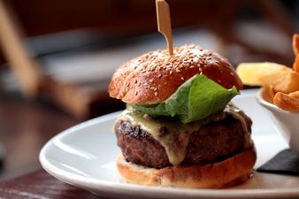 My Lovely Horse Burger – Controversial Meat Most Popular In Dublin City Centre