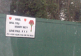 Say Yes Ann! (And Keep Your Eyes On The Road): Another Public Irish Proposal Pops Up