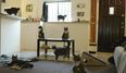 We’re Keeping The Feline Folk Happy… Cats Do The Harlem Shake
