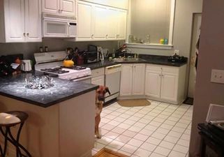 House Ad Goes Viral: Legendary Dog Photo Bombs Every Single Snapshot