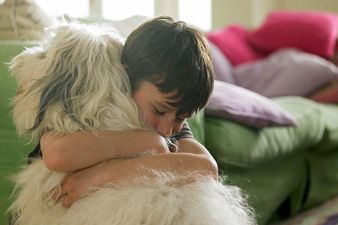 Man’s Best Friend: Stray Dog Saves The Life Of 7-Year-Old Boy