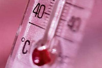 You Might Need to Wrap Up This Weekend