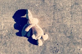 Snap Happy: Instagram Users Work Together To Reunite Boy & His Bunny