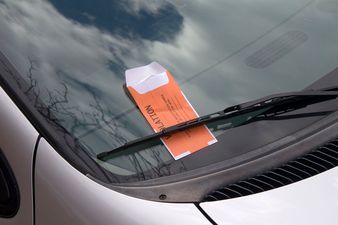 This Takes The Ticket: Irish Traffic Warden Receives €20,000 In Damages After Man Bites Him