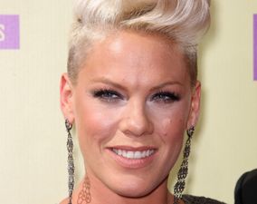 What A Hero! Pink’s Maternal Instinct Kicks In During Concert