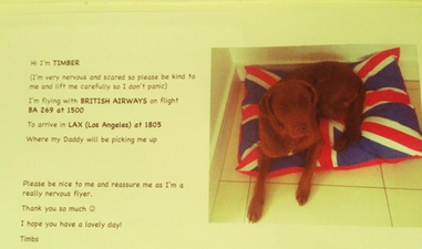 This Week’s Top 5 Celebland Tweets: Amy Huberman’s Mini Me, Cyrus’s Drama And One Actor’s Dog’s Flying Nerves