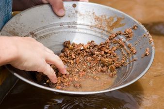 Stop Everything! Get Your Mining Kit Together! They’ve Found Gold In Wicklow