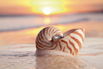 Party Playlist: Her.ie’s Essential Holiday Tunes